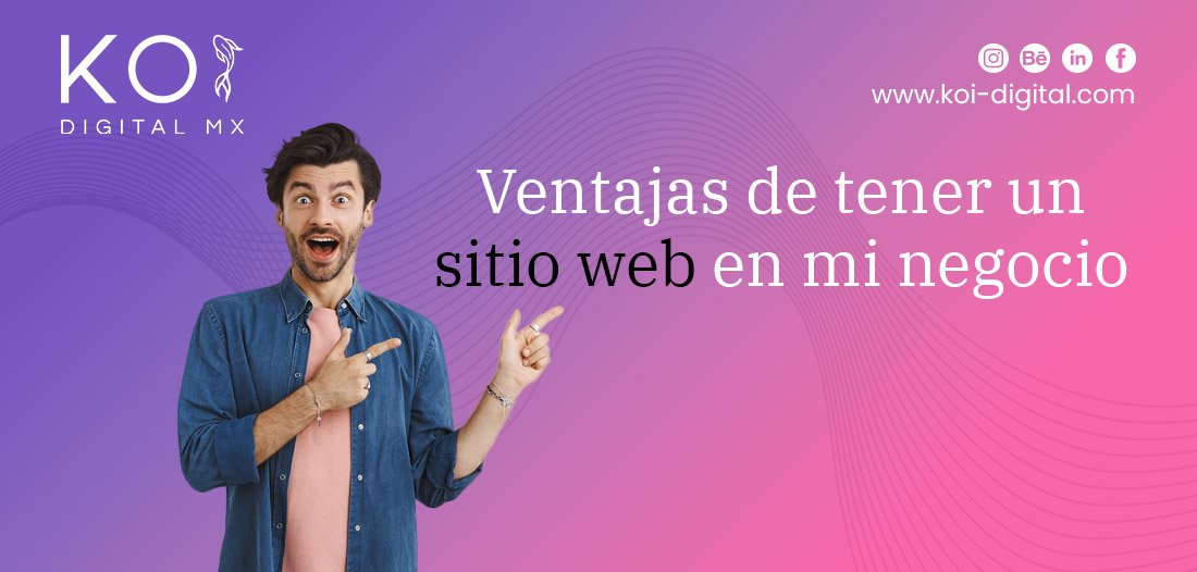 Sitio web
